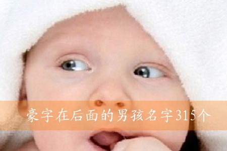 豪字在后面的男孩名字315个