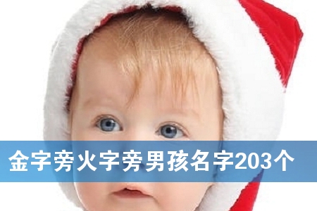 金字旁火字旁男孩名字203个