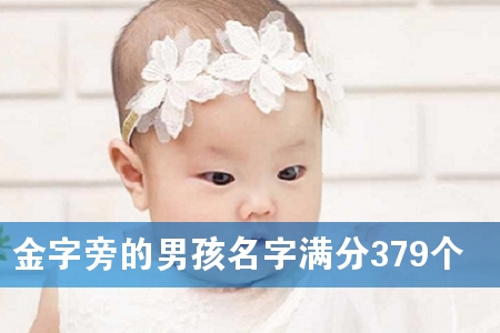 金字旁的男孩名字满分379个