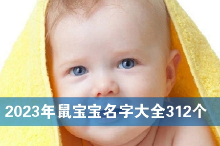2023年鼠宝宝名字大全312个