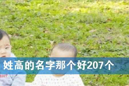 姓高的名字那个好207个
