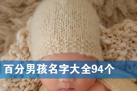 百分男孩名字大全94个