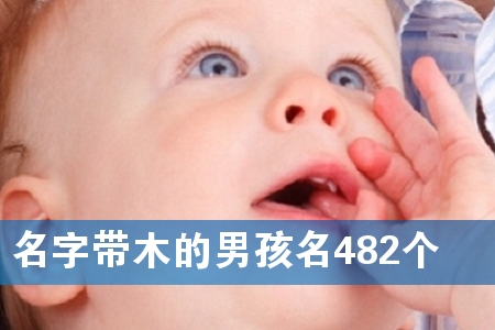 名字带木的男孩名482个