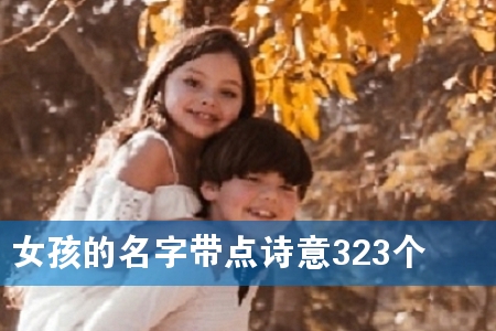 Å®º¢µÄÃû×Ö´øµãÊ«Òâ323¸ö