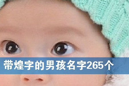 �����ֵ��к�����265��