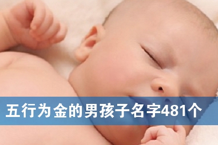 ����Ϊ����к�������481��