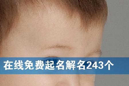 在线免费起名解名243个