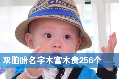 ˫��̥����ľ��ľ��256��