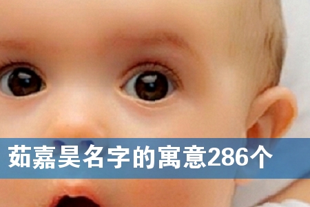 �������ֵ�Ԣ��286��