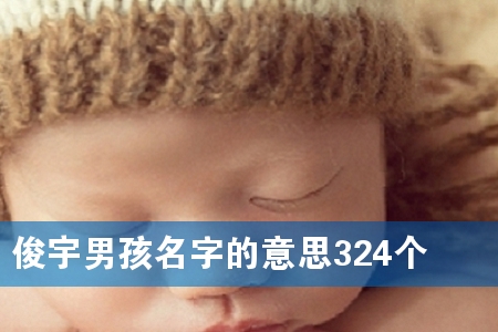 俊宇男孩名字的意思324个