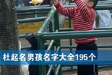 杜起名男孩名字大全195个