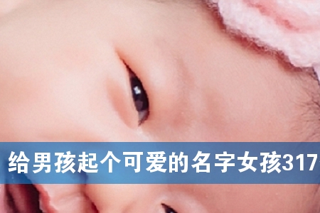 给男孩起个可爱的名字女孩317个
