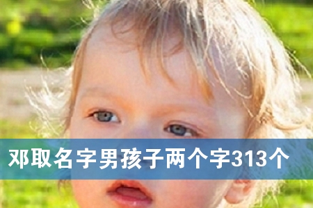 邓取名字男孩子两个字313个