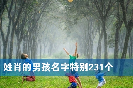 姓肖的男孩名字特别231个