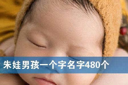 朱娃男孩一个字名字480个