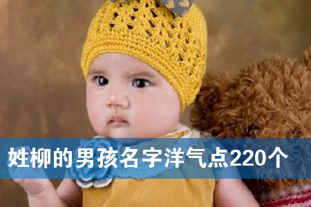 姓柳的男孩名字洋气点220个