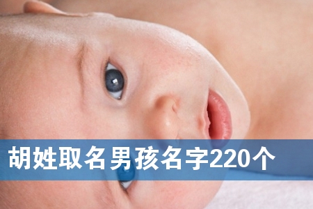胡姓取名男孩名字220个
