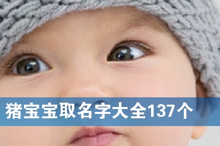 猪宝宝取名字大全137个