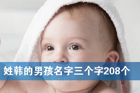 姓韩的男孩名字三个字208个