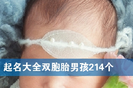 起名大全双胞胎男孩214个