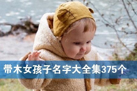 带木女孩子名字大全集375个
