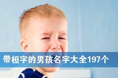 带桓字的男孩名字大全197个