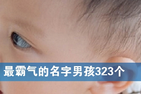 ������������к�323��