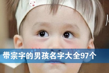 带宗字的男孩名字大全97个
