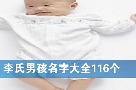 李氏男孩名字大全116个