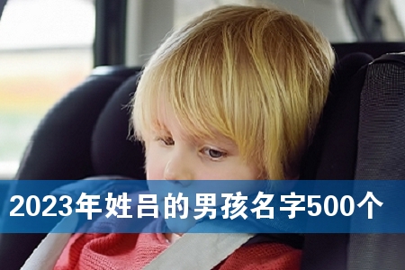 2023年姓吕的男孩名字500个