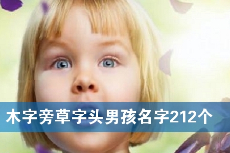 木字旁草字头男孩名字212个