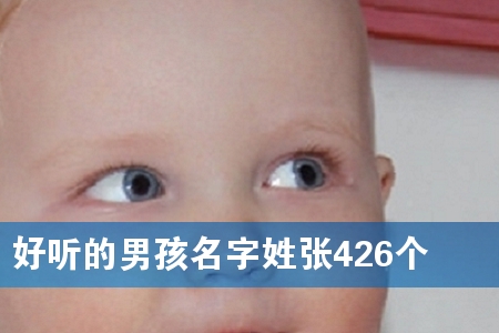 好听的男孩名字姓张426个