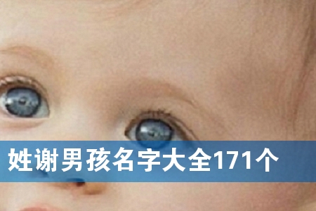 姓谢男孩名字大全171个