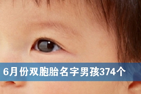 6月份双胞胎名字男孩374个