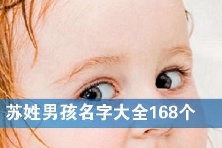 苏姓男孩名字大全168个