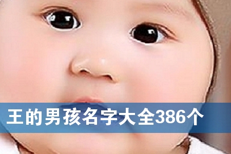 王的男孩名字大全386个