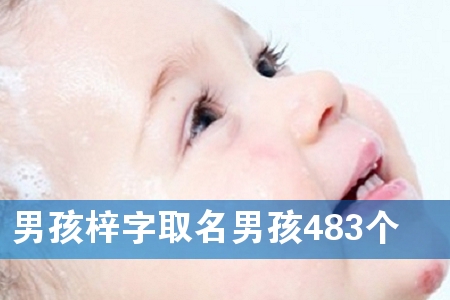 男孩梓字取名男孩483个