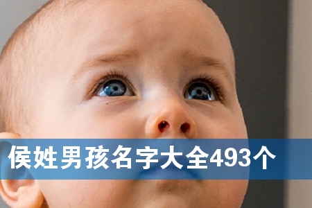 侯姓男孩名字大全493个