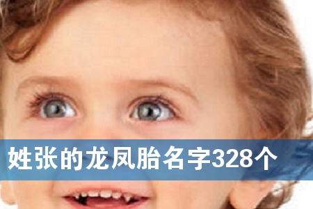 姓张的龙凤胎名字328个