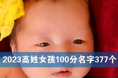 2023高姓女孩100分名字377个