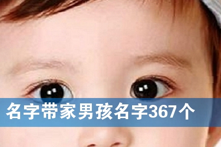 名字带家男孩名字367个