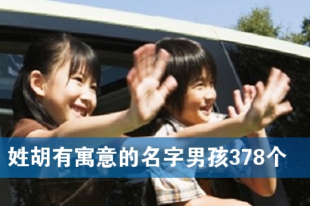 姓胡有寓意的名字男孩378个