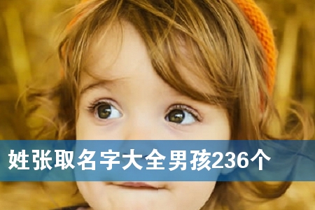 姓张取名字大全男孩236个