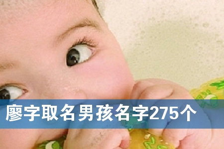 廖字取名男孩名字275个