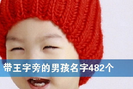 带王字旁的男孩名字482个