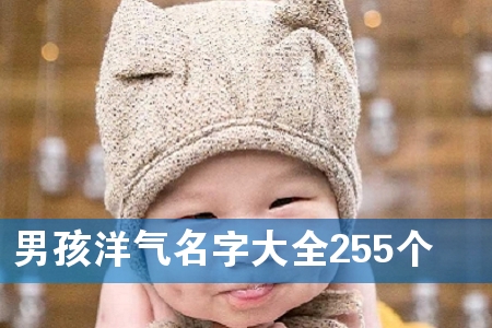 男孩洋气名字大全255个