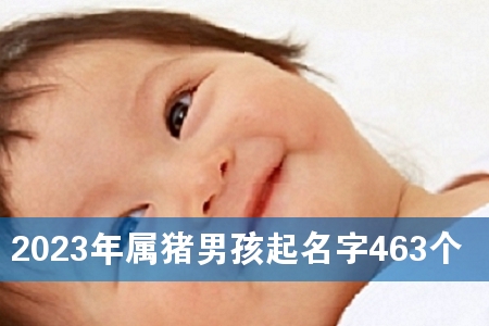2023年属猪男孩起名字463个