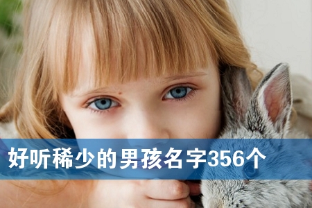 好听稀少的男孩名字356个