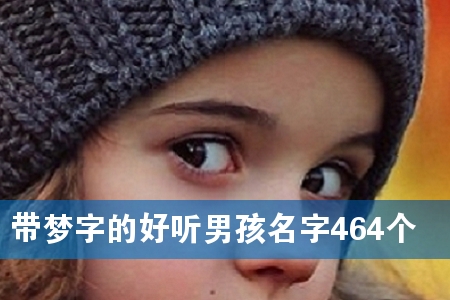 带梦字的好听男孩名字464个