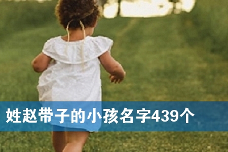 姓赵带子的小孩名字439个